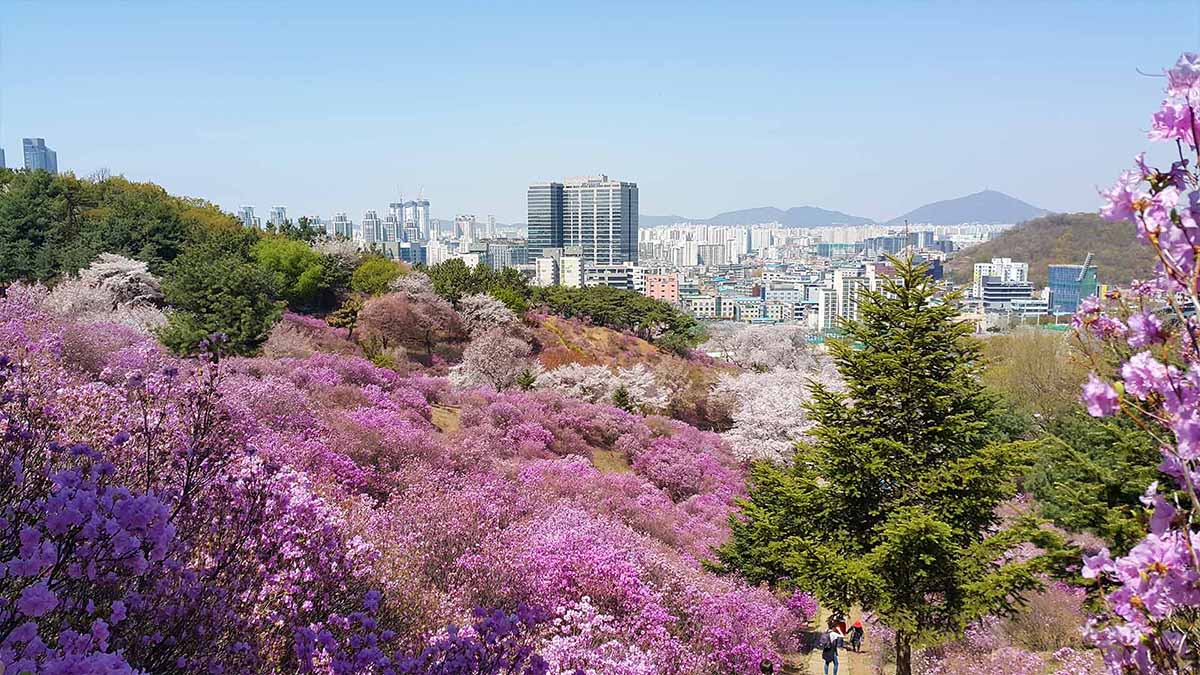 Photo voyage Corée 23